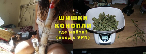 spice Аша