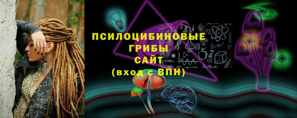 дживик Нея