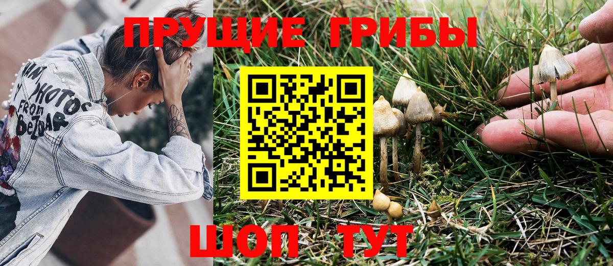 Галлюциногенные грибы мухоморы  Вход с VPN  Ангарск  Псилоцибиновые грибы мухоморы 
